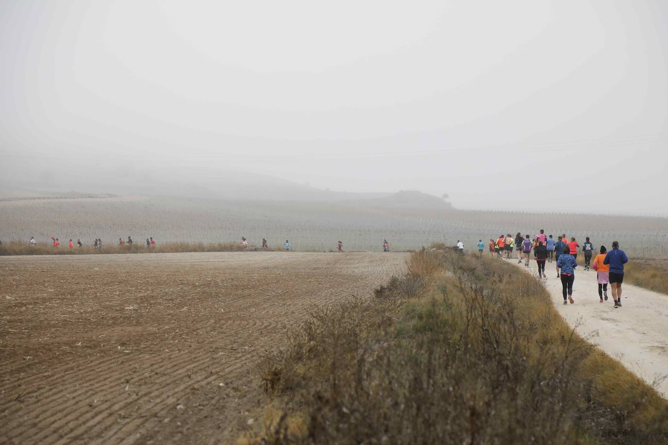 Fotos: Luis Alberto Serrano y Alicia Diago se coronan ganadores del Circuito Entre Viñas en Peñafiel
