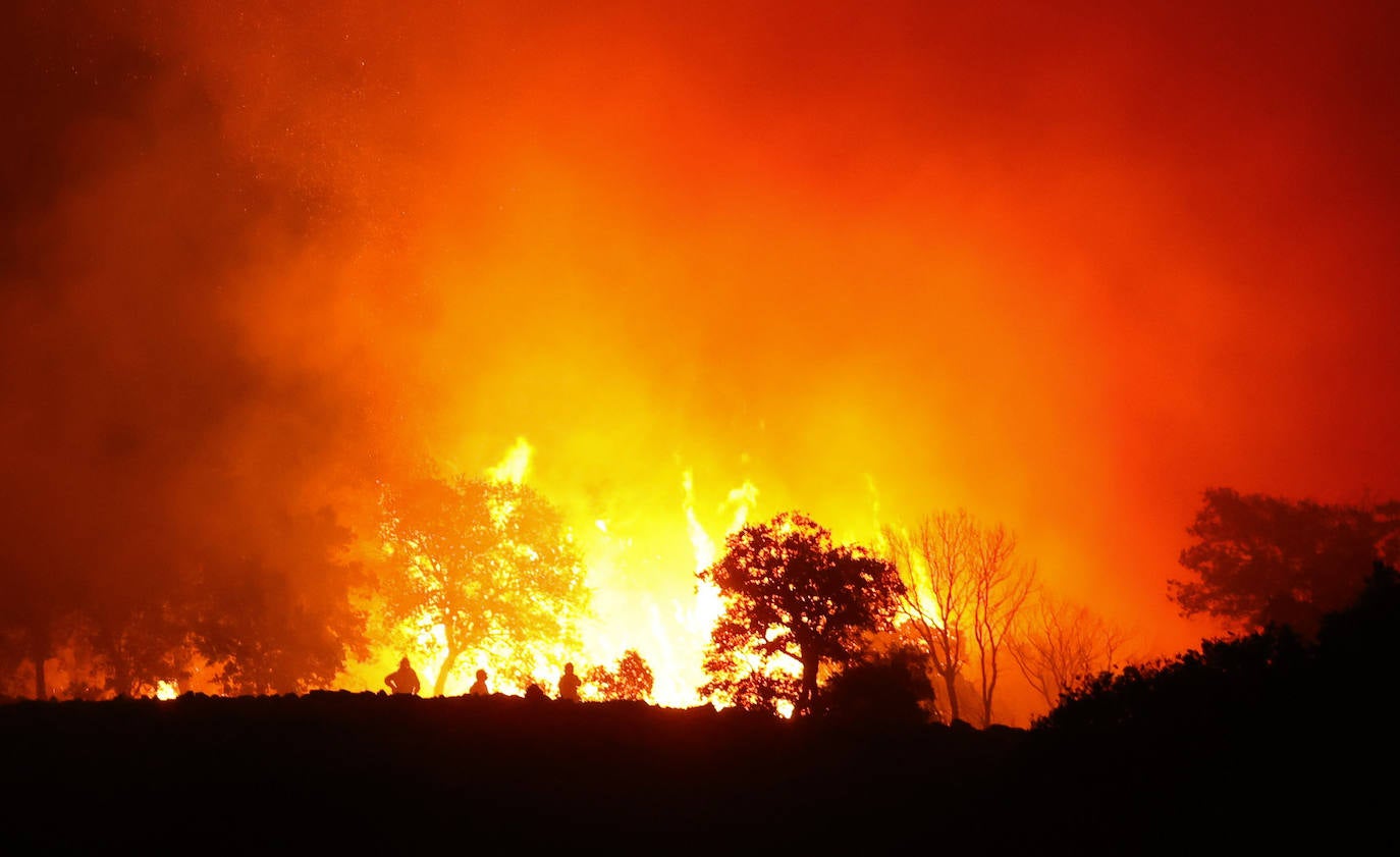 Un incendio sorprende por su virulencia en la Sierra de Francia. 