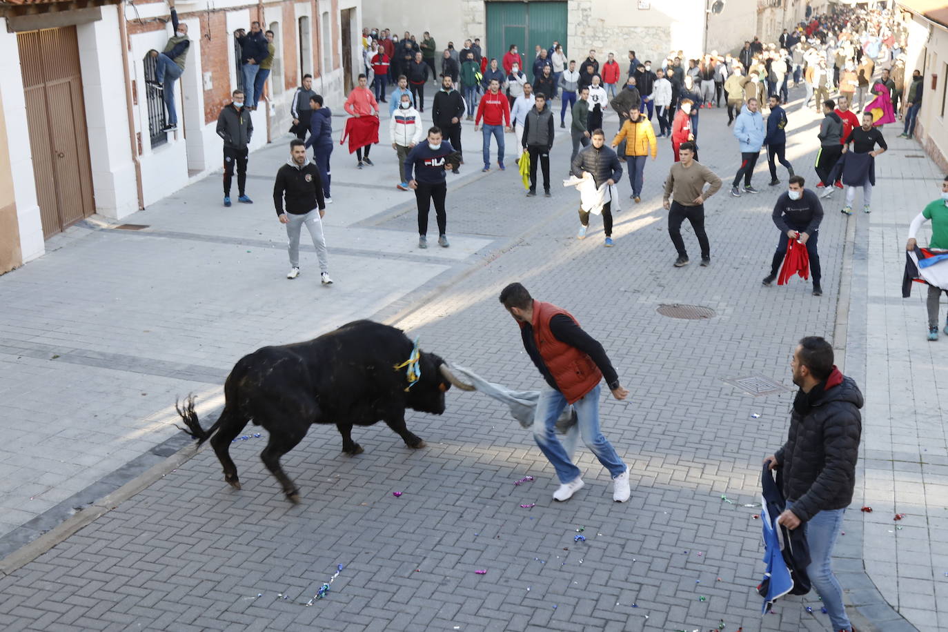 Fotos: Toro del cajón en Traspinedo