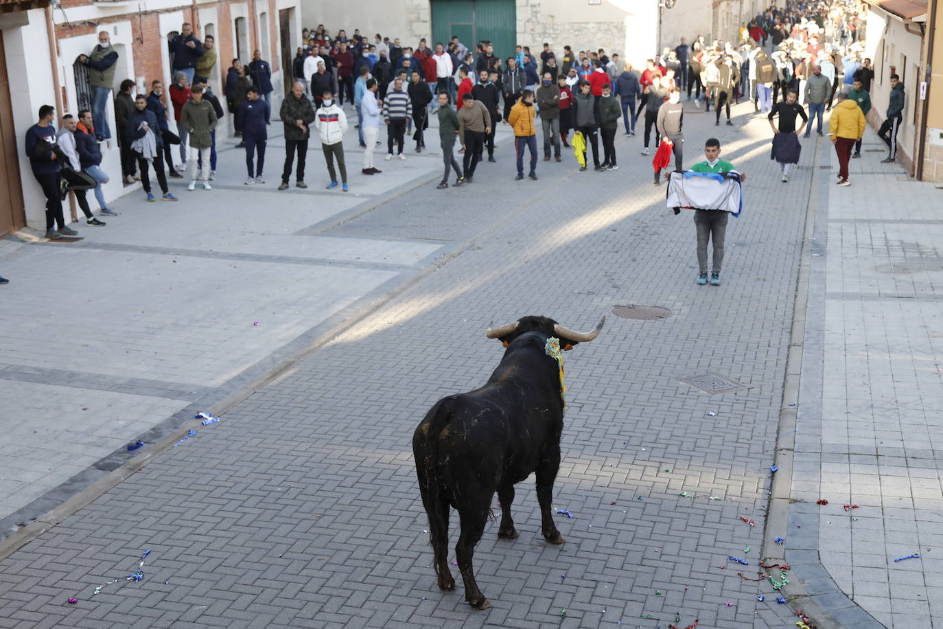 Fotos: Toro del cajón en Traspinedo