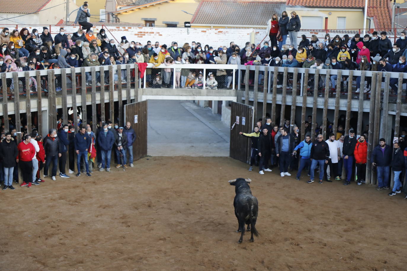 Fotos: Toro del cajón en Traspinedo