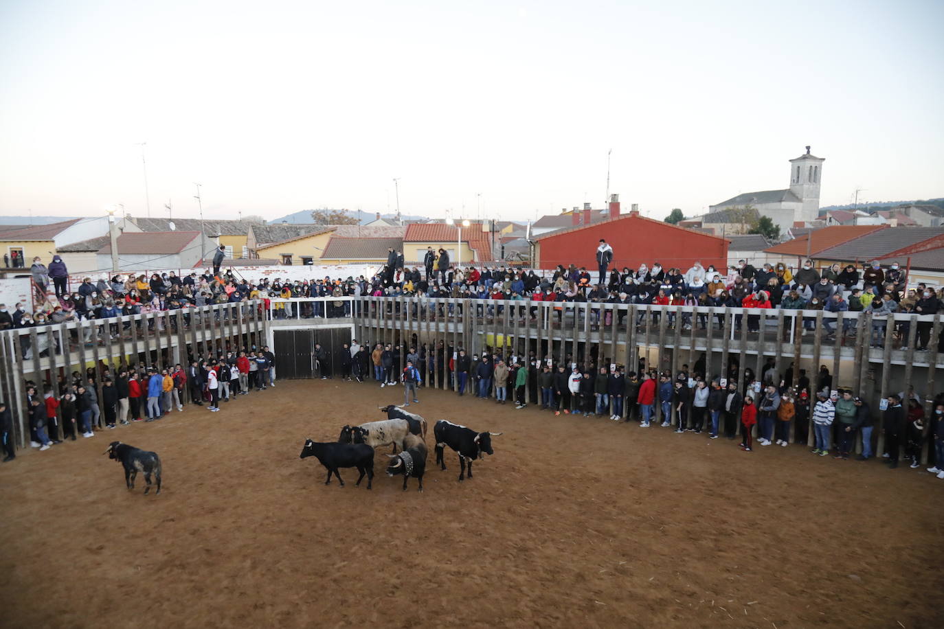 Fotos: Toro del cajón en Traspinedo