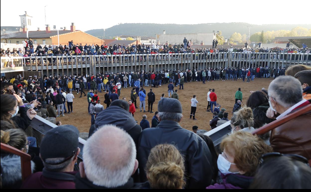 Aficionados, en la plaza de toros de Traspinedo este domingo 14 de noviembre.