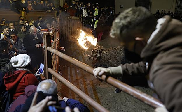 Lidia del Toro Jubilo.