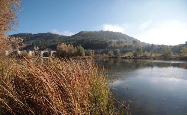 Ribera del río Pisuerga a su paso por Cabezón, donde están buscando a Lucas. 