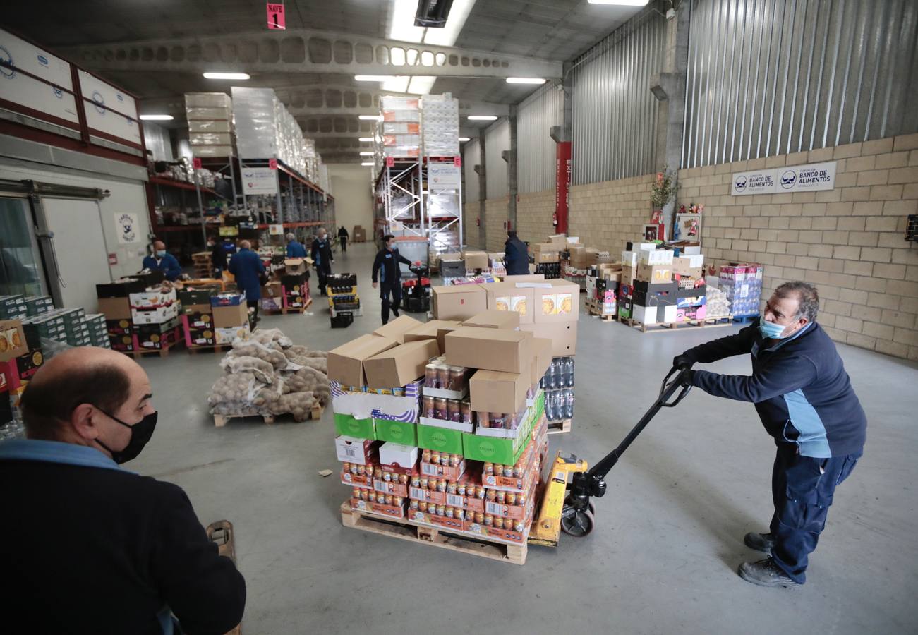 Fotos: El Banco de Alimentos de Valladolid se prepara para la &#039;gran recogida&#039;