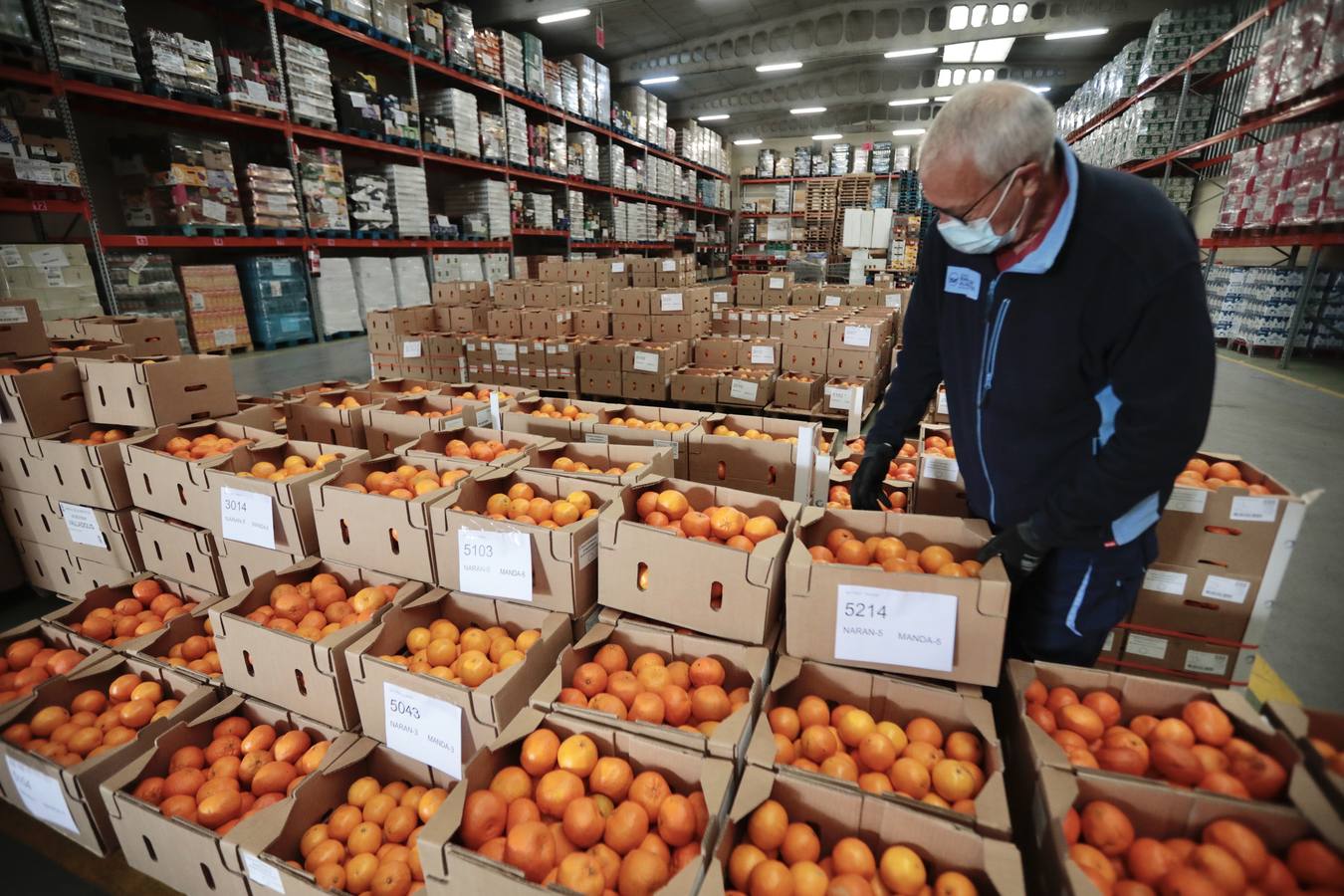 Fotos: El Banco de Alimentos de Valladolid se prepara para la &#039;gran recogida&#039;
