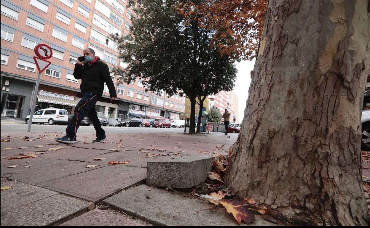 Acera de la calle Madre de Dios. 