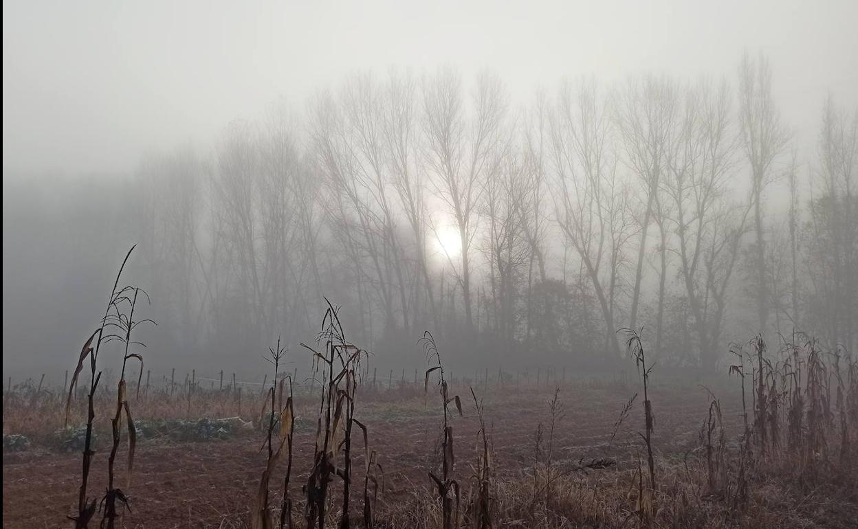 Niebla en El Bierzo (León). 