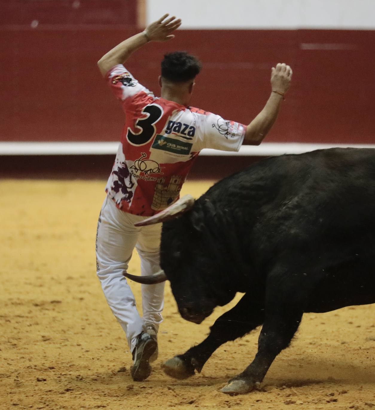 Concurso de cortes de La Flecha