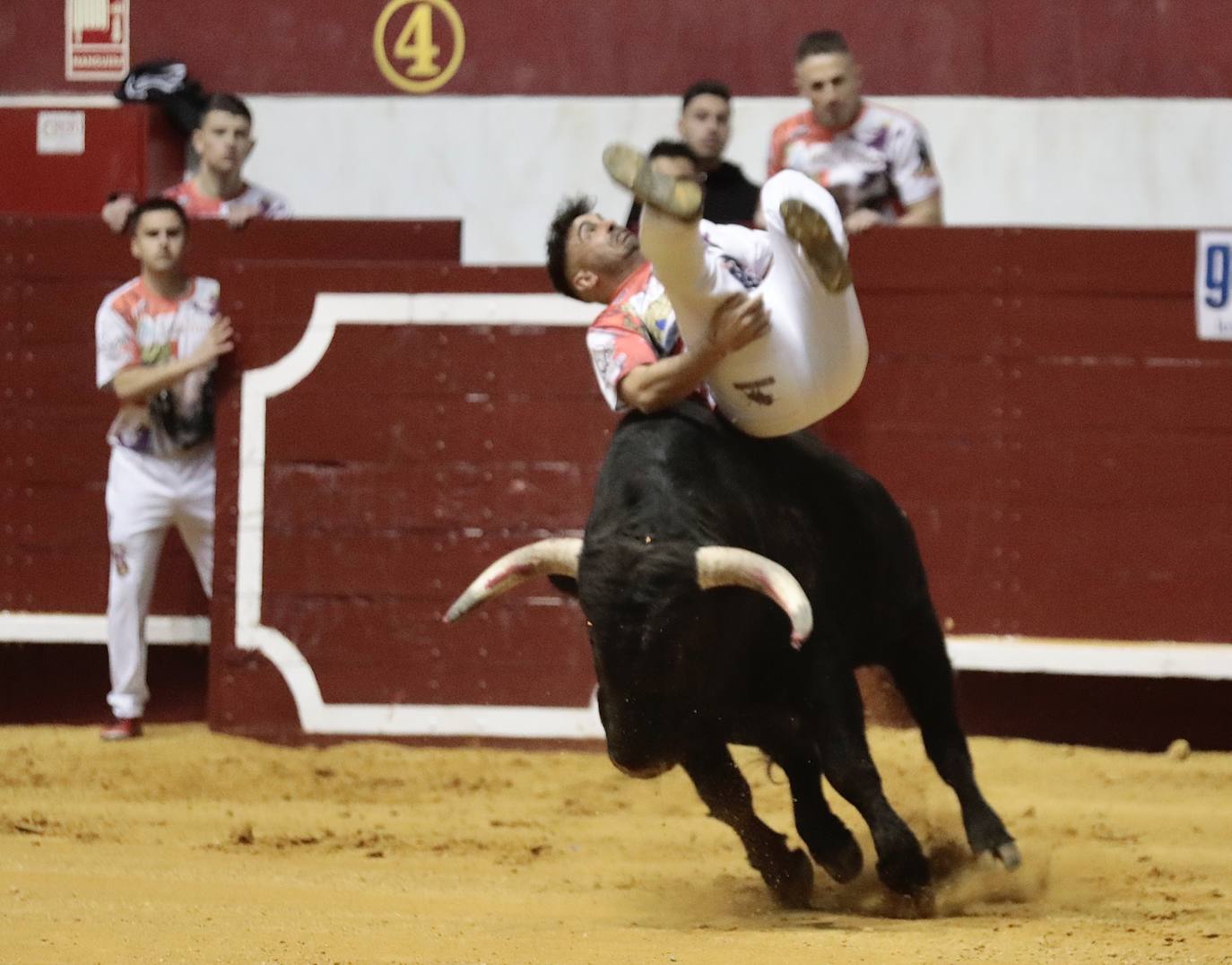 Concurso de cortes de La Flecha