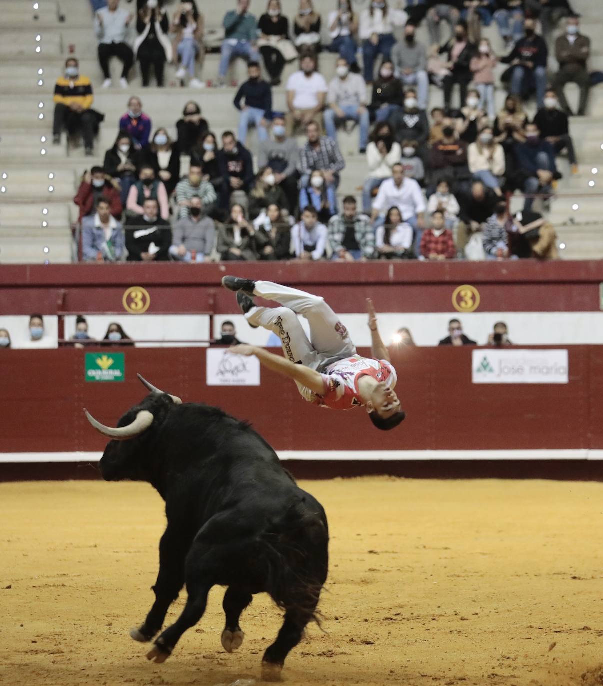 Concurso de cortes de La Flecha