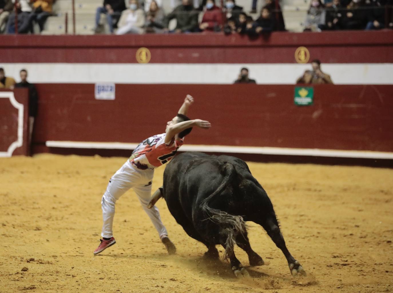 Concurso de cortes de La Flecha