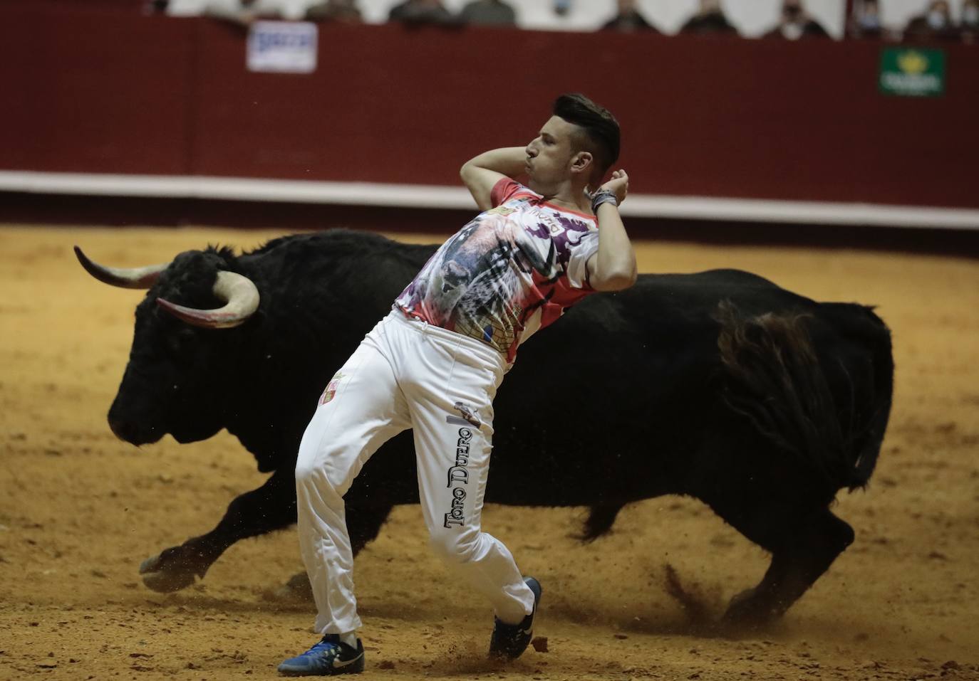 Concurso de cortes de La Flecha