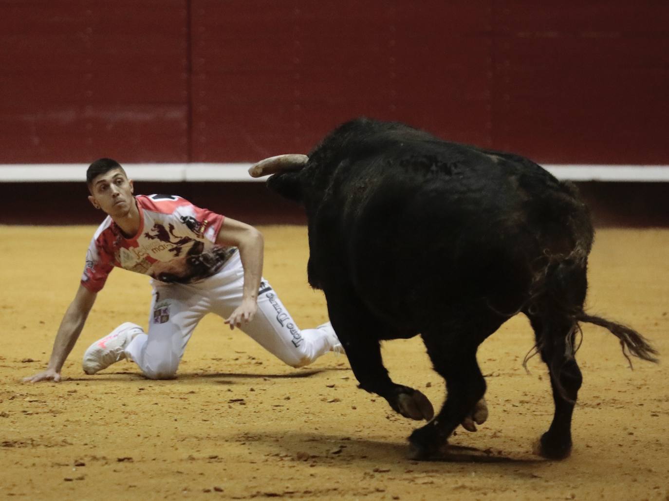 Concurso de cortes de La Flecha