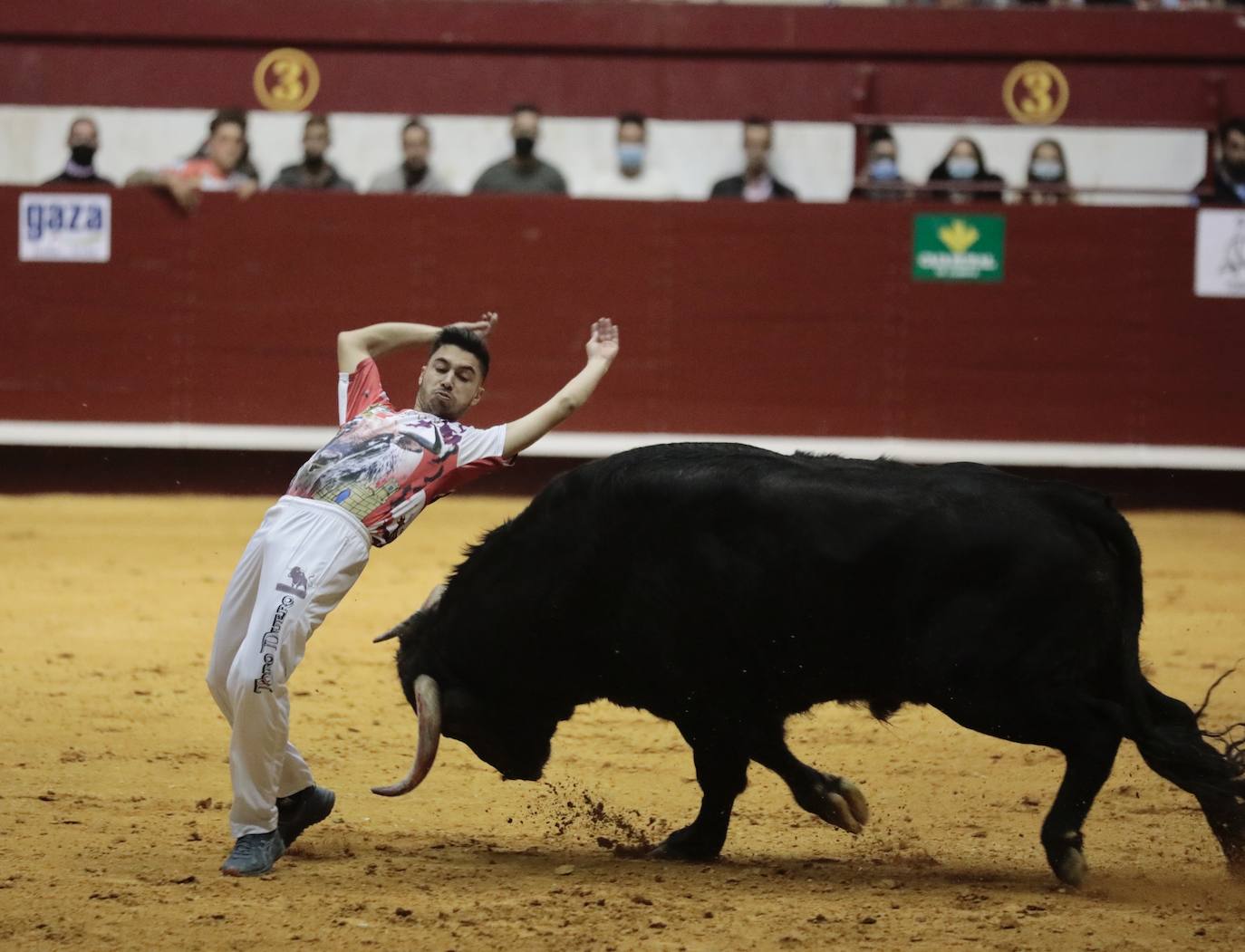 Fotos: Luis Gómez triunfa en el concurso de cortes de La Flecha (2/2)