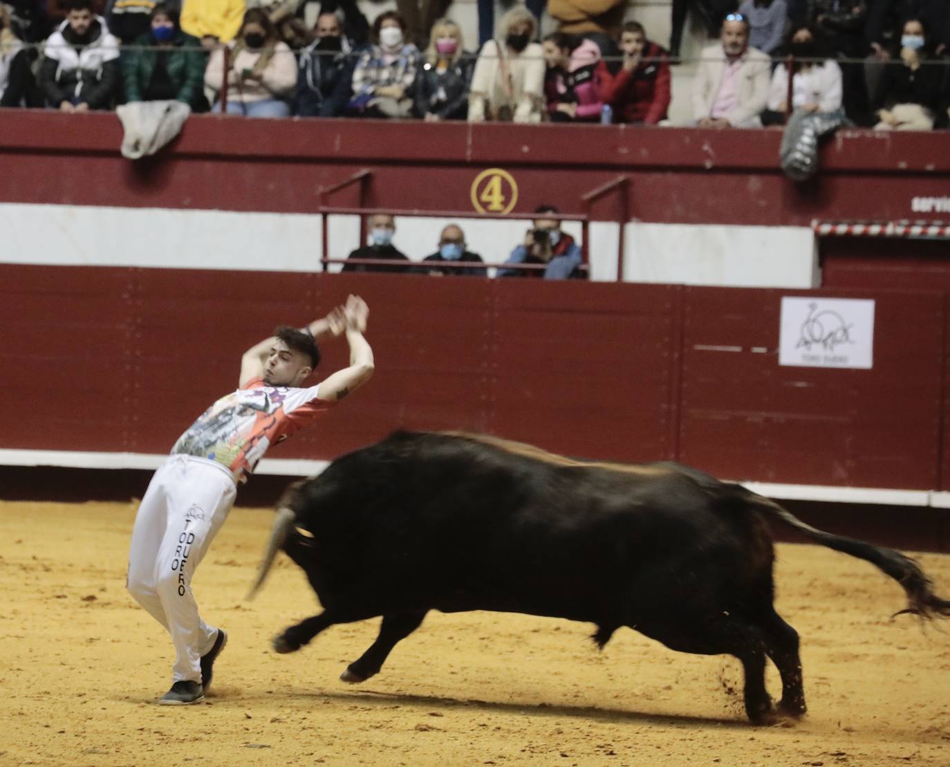 Fotos: Luis Gómez triunfa en el concurso de cortes de La Flecha (2/2)