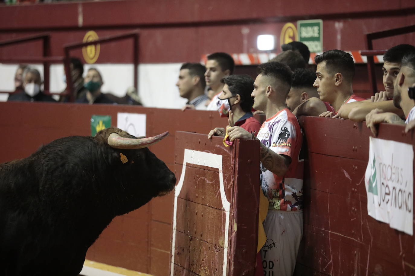 Fotos: Luis Gómez triunfa en el concurso de cortes de La Flecha (2/2)