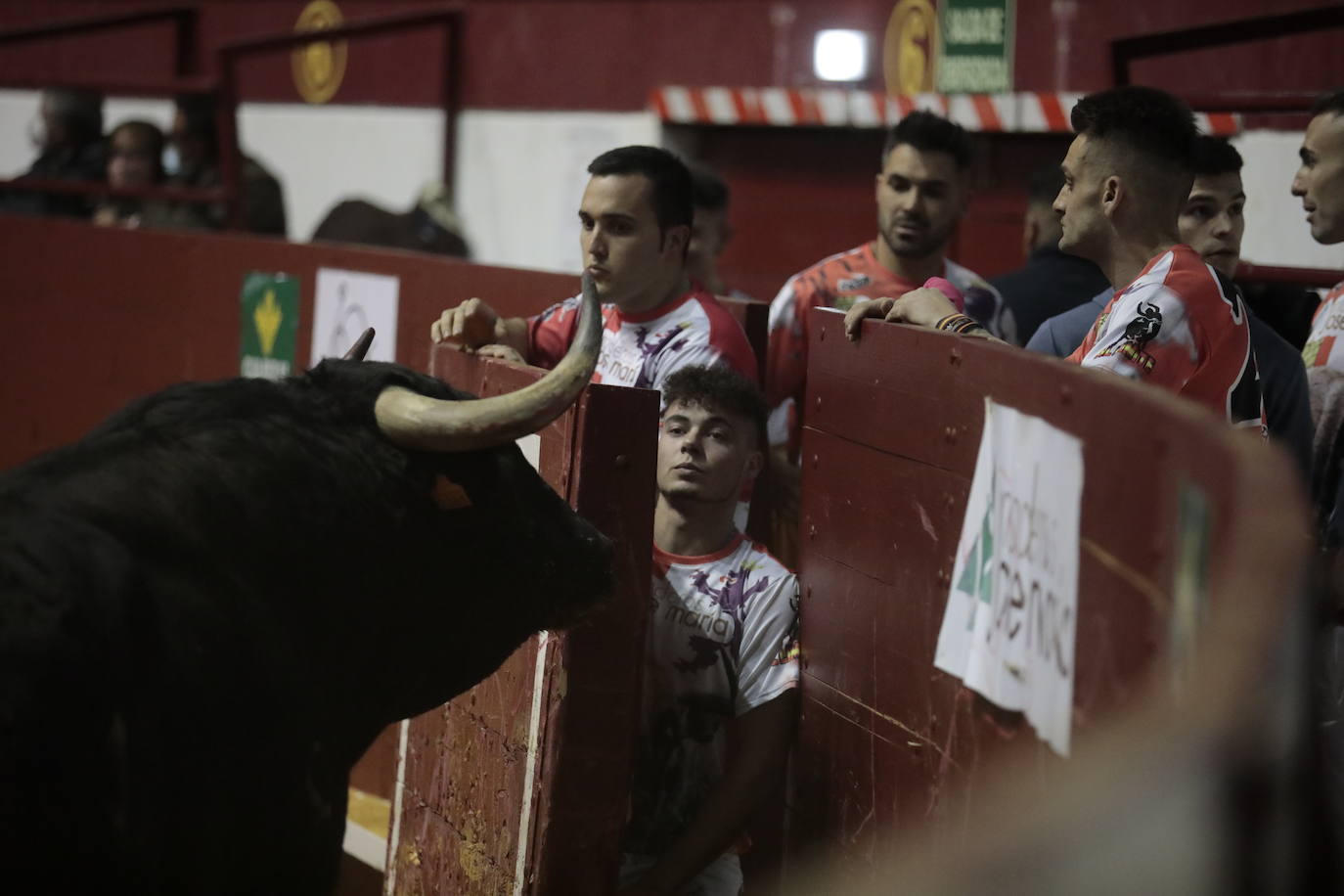 Fotos: Luis Gómez triunfa en el concurso de cortes de La Flecha (2/2)