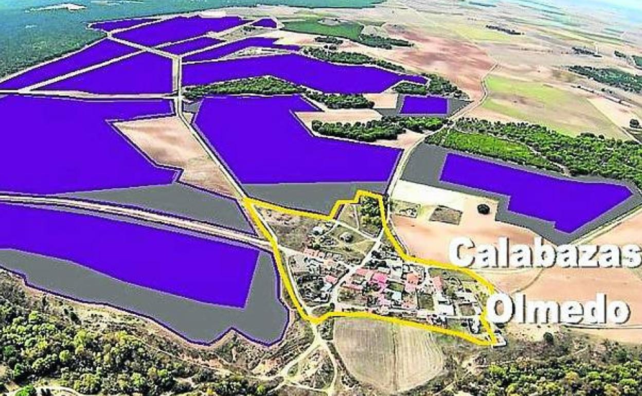 Proyecto del macrohuerto solar en Calabazas. 