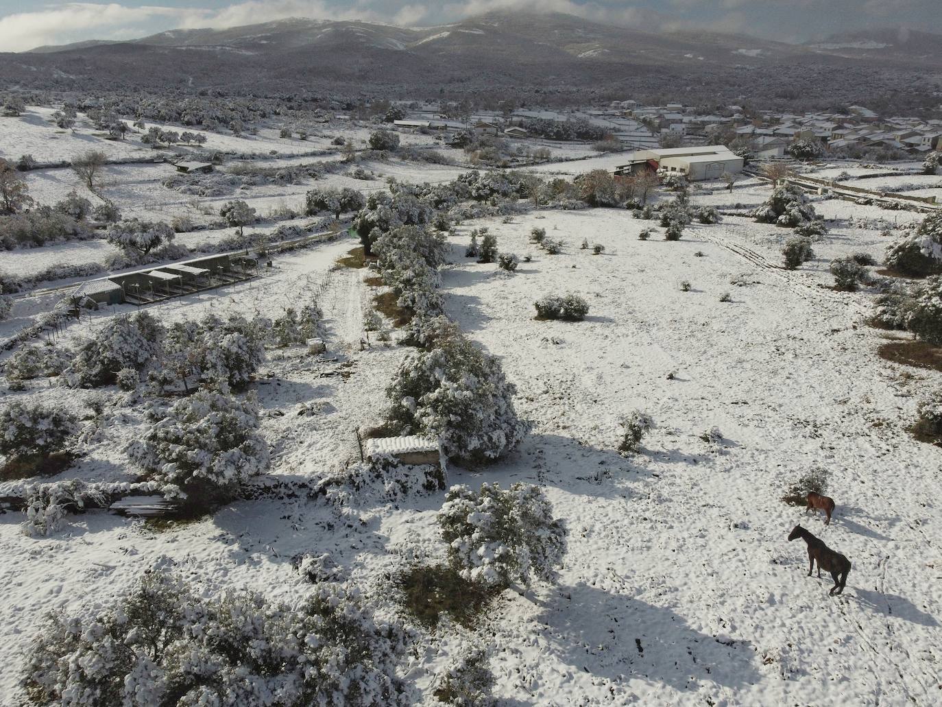 Nieve en Guijuelo (Salamanca)