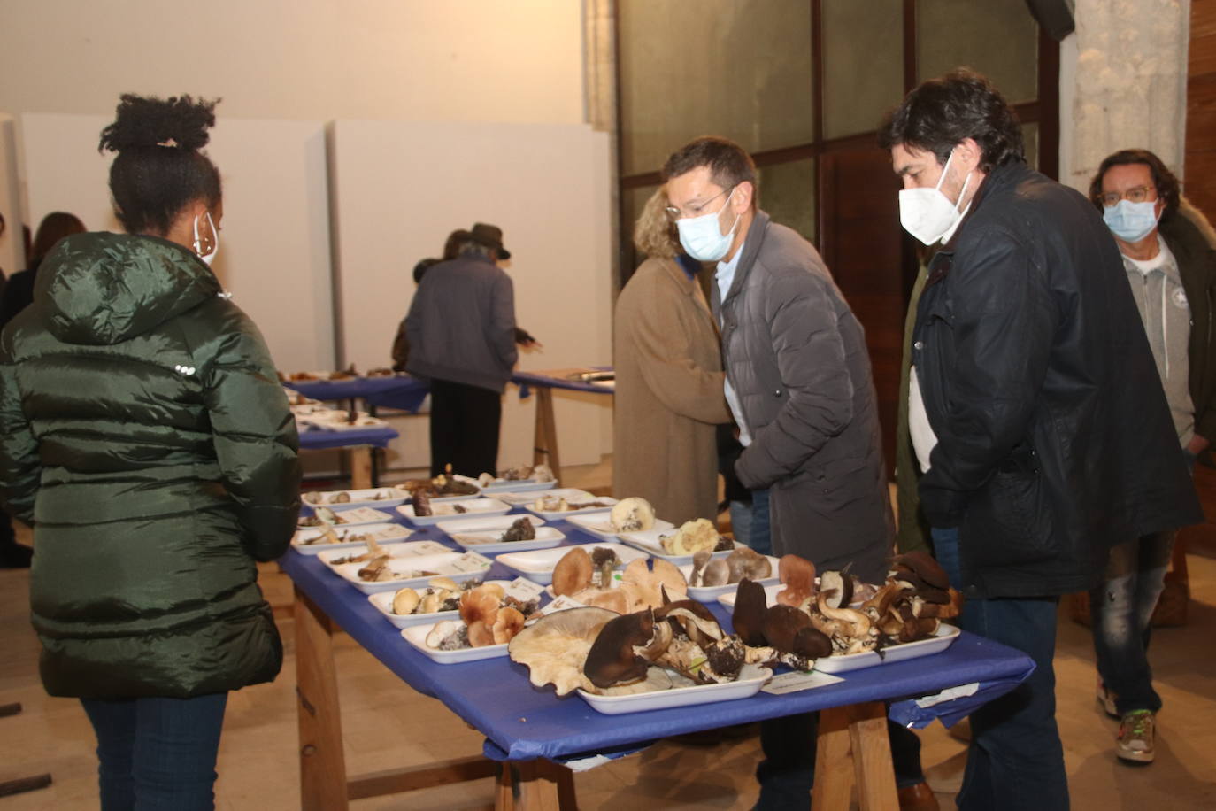 Exposición celebrada en Cuéllar este fin de semana.