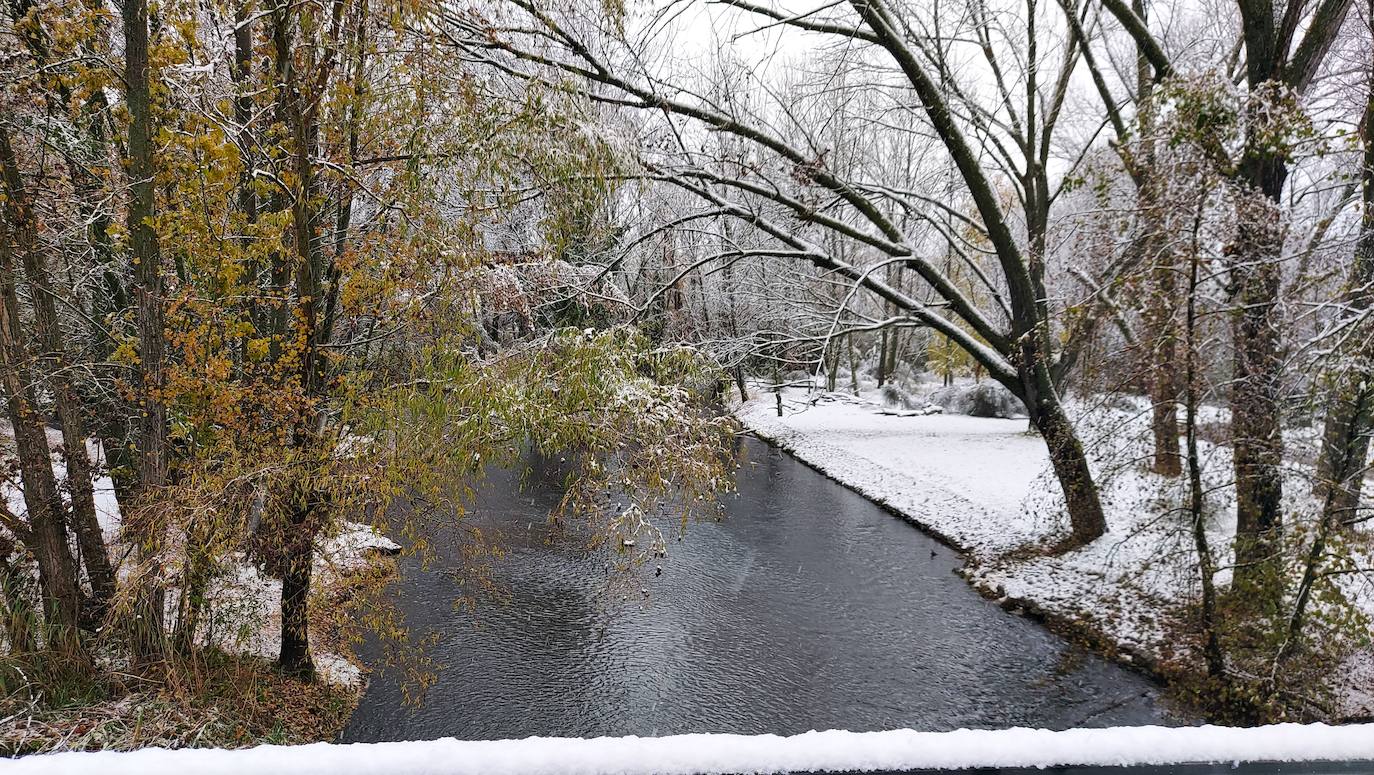 Fotos: La nieve deja bonitas estampas en la ciudad de Palencia