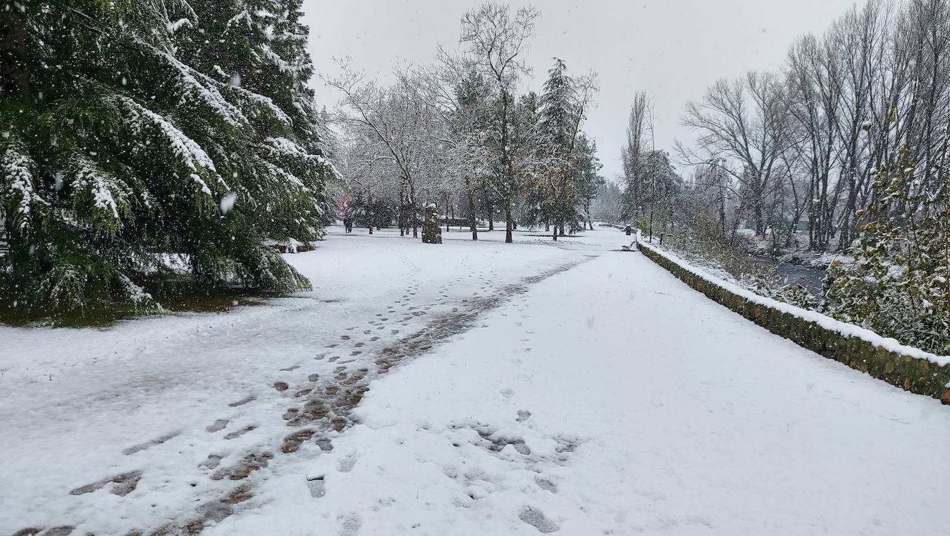 Fotos: La nieve deja bonitas estampas en la ciudad de Palencia