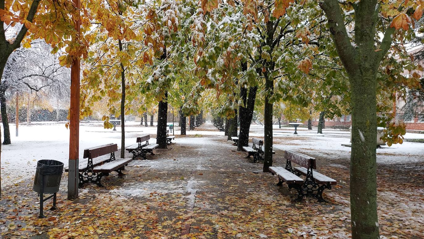 Fotos: La nieve deja bonitas estampas en la ciudad de Palencia
