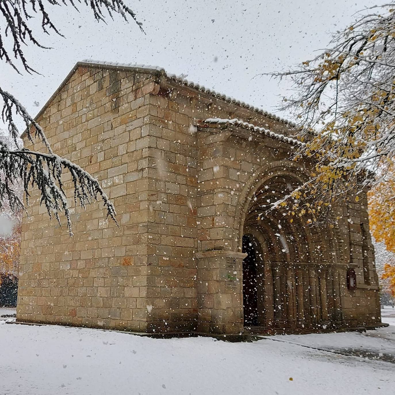 Fotos: La nieve deja bonitas estampas en la ciudad de Palencia