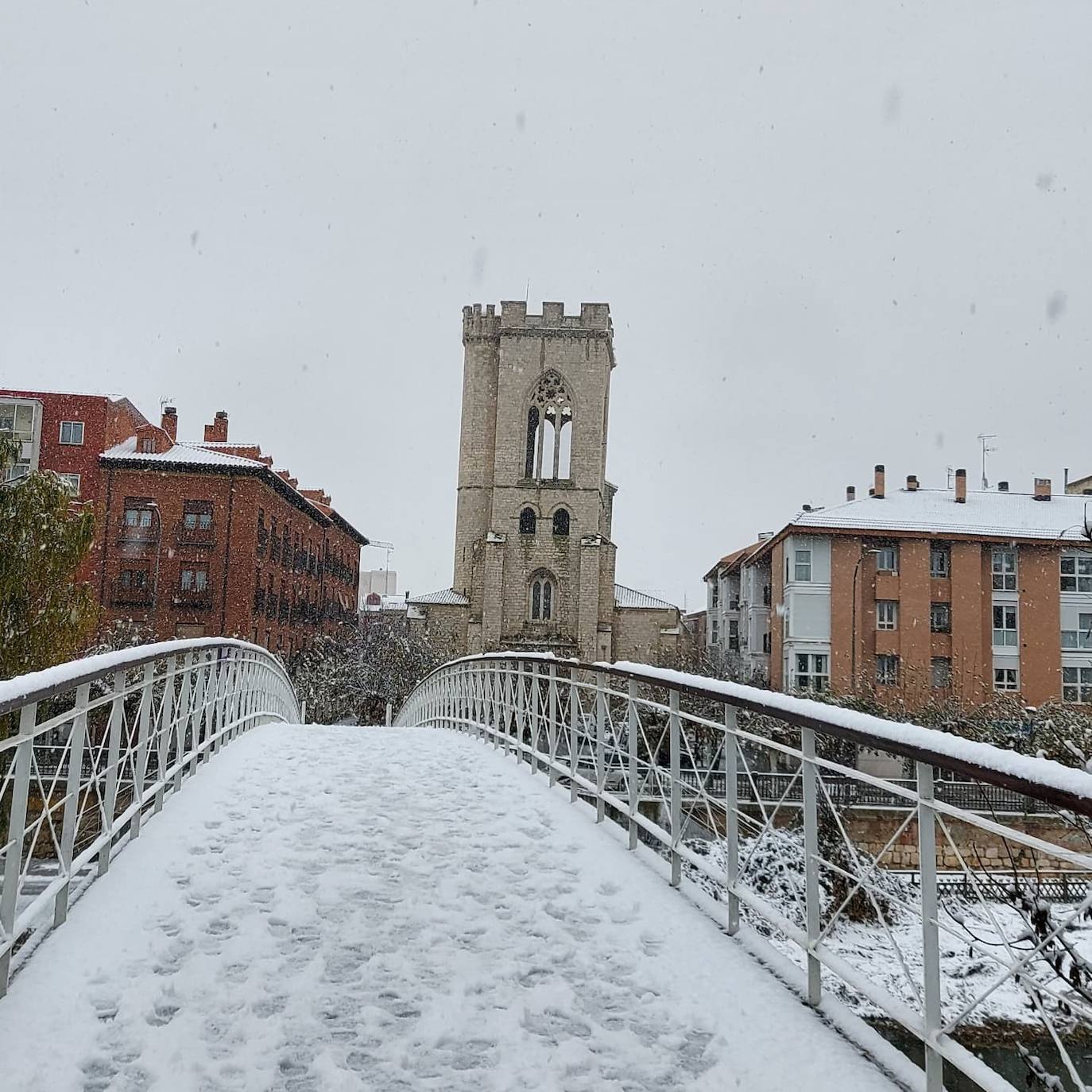 Fotos: La nieve deja bonitas estampas en la ciudad de Palencia