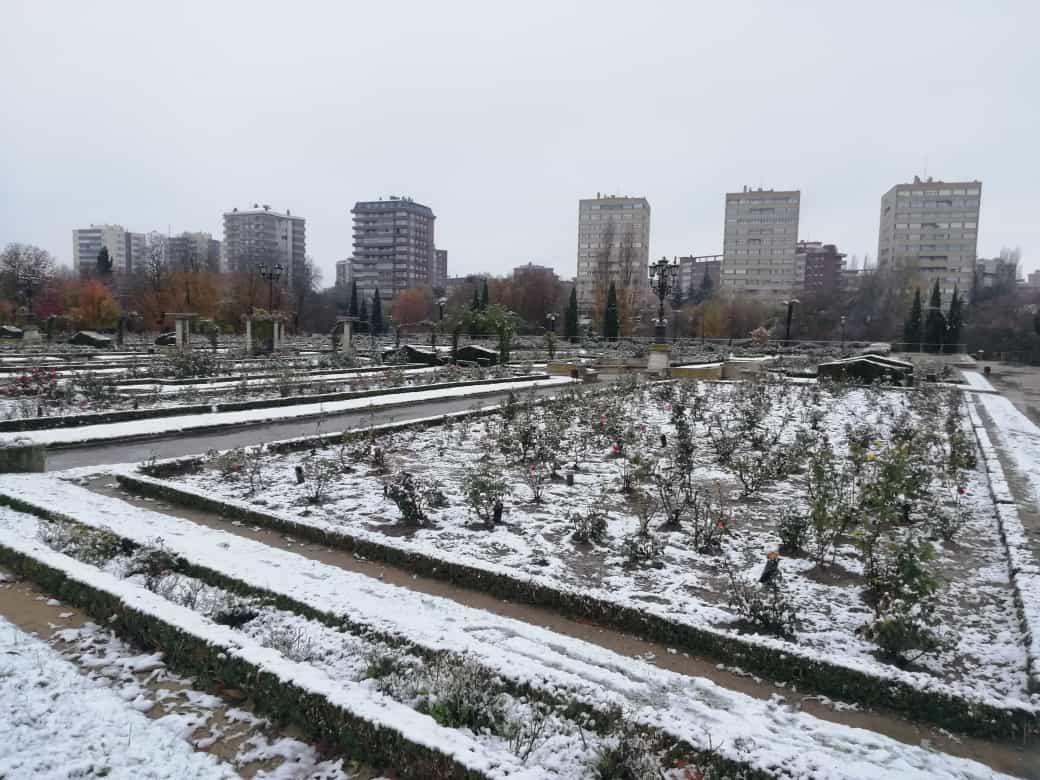 Fotos: Llega a Valladolid la primera nevada desde &#039;Filomena&#039;