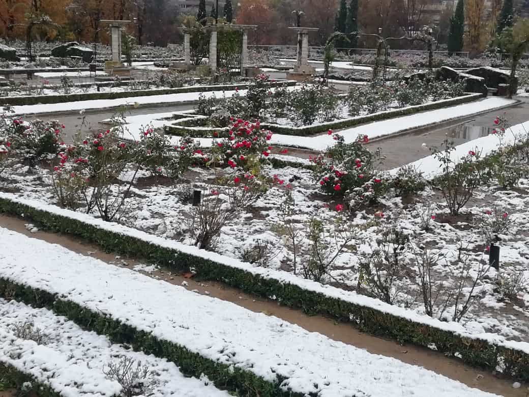 Fotos: Llega a Valladolid la primera nevada desde &#039;Filomena&#039;