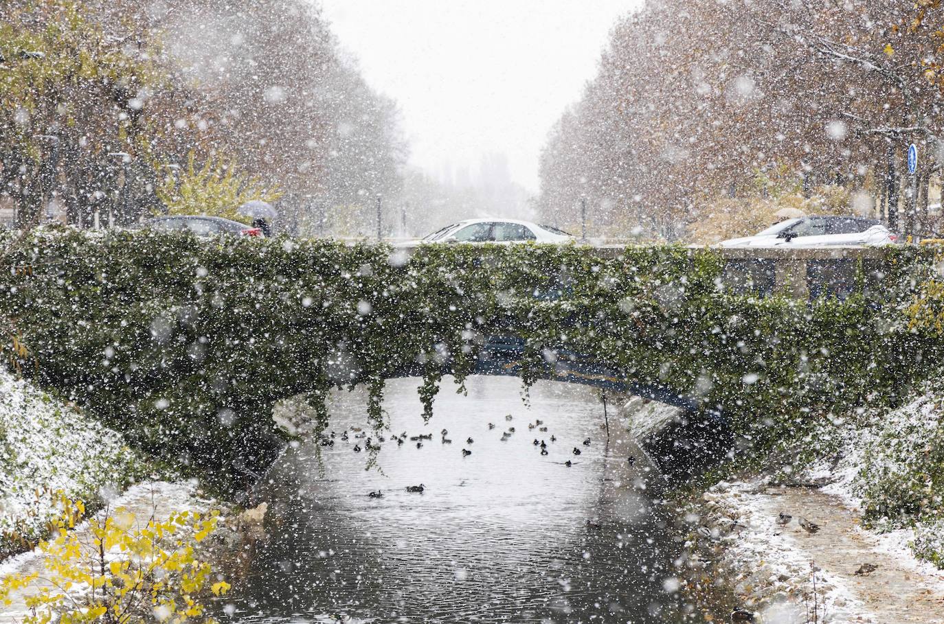 Fotos: Llega a Valladolid la primera nevada desde &#039;Filomena&#039; (2/2)