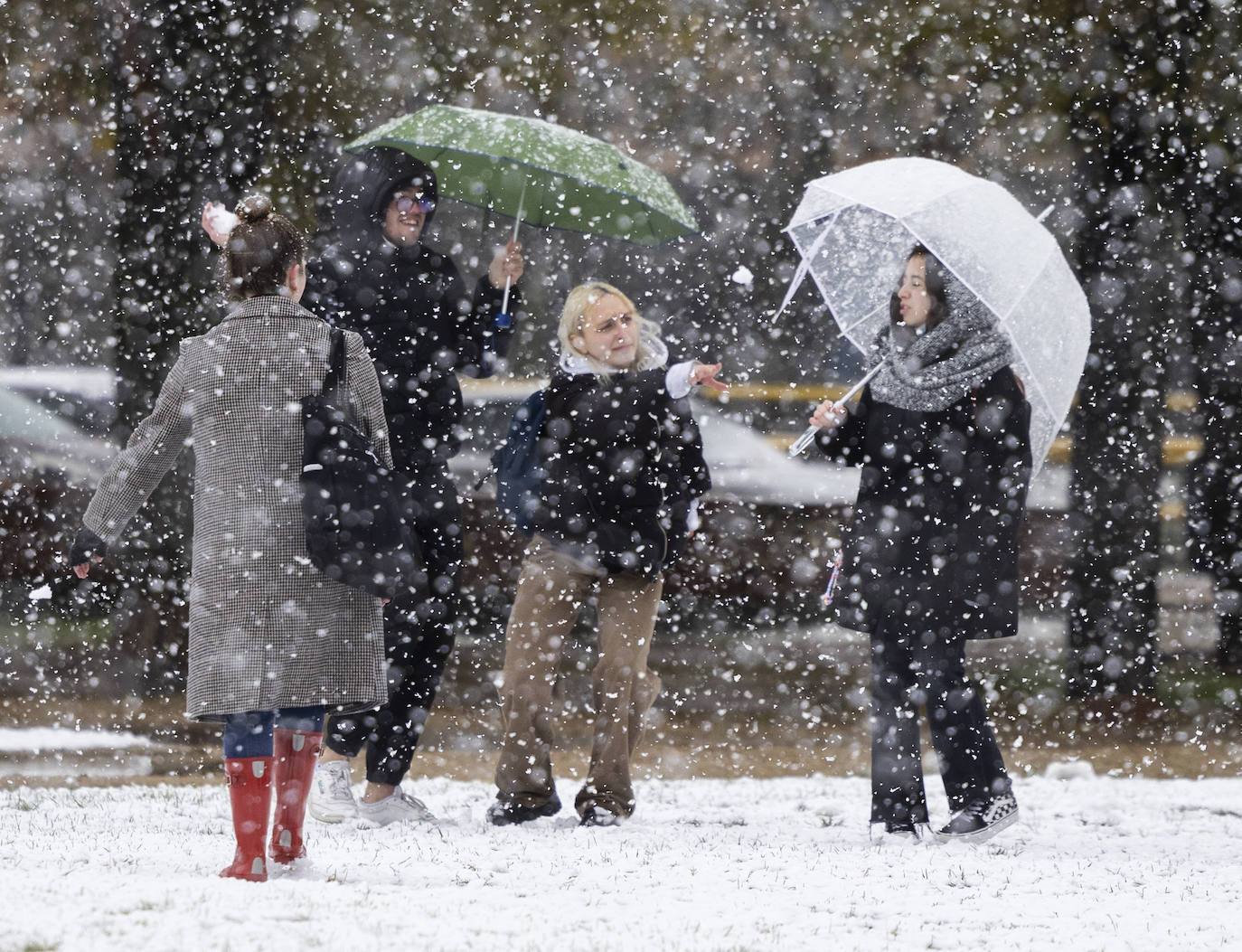 Fotos: Llega a Valladolid la primera nevada desde &#039;Filomena&#039; (2/2)