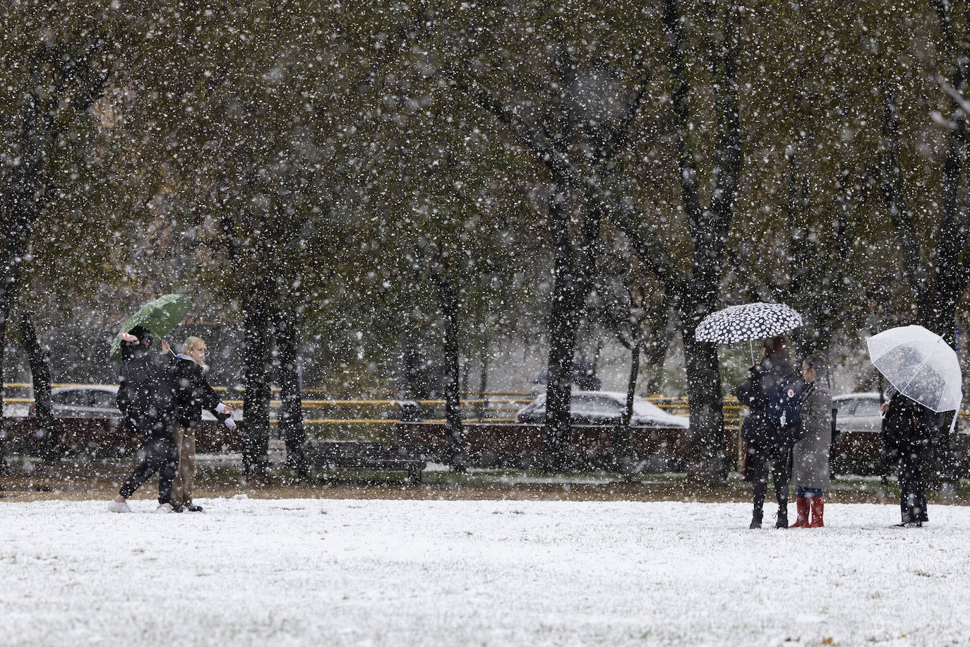 Fotos: Llega a Valladolid la primera nevada desde &#039;Filomena&#039; (2/2)