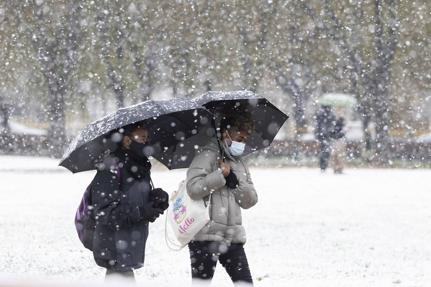 Fotos: Llega a Valladolid la primera nevada desde &#039;Filomena&#039; (2/2)