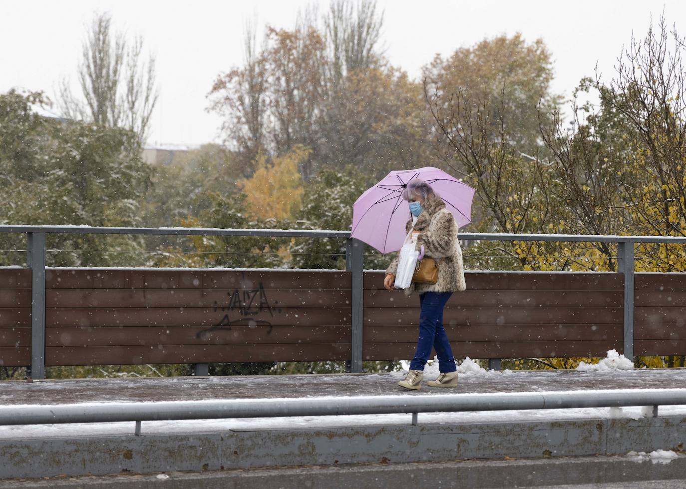 Fotos: Llega a Valladolid la primera nevada desde &#039;Filomena&#039; (2/2)