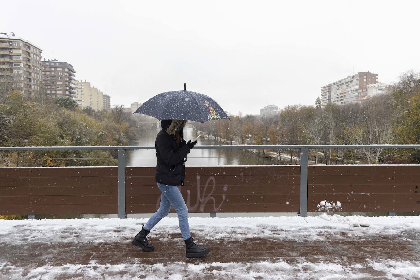 Fotos: Llega a Valladolid la primera nevada desde &#039;Filomena&#039; (2/2)