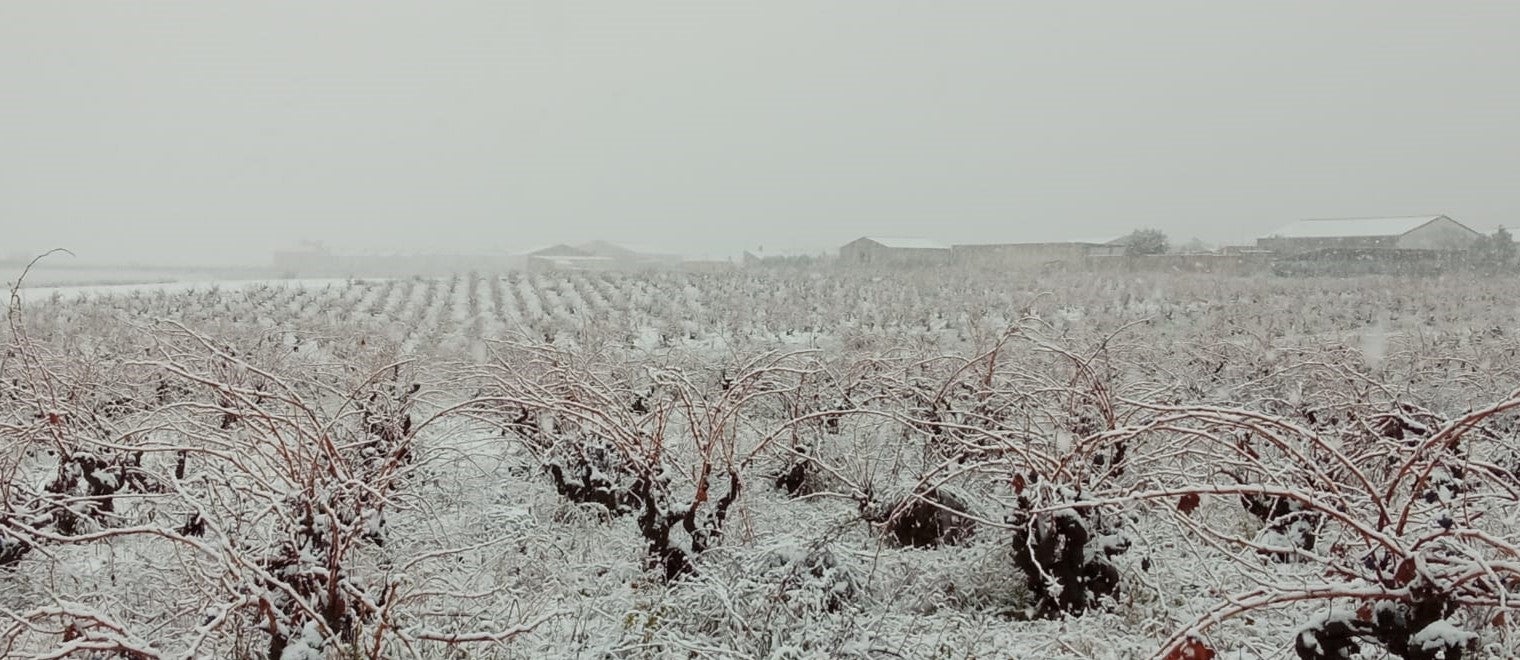 Nieve en Cigales.