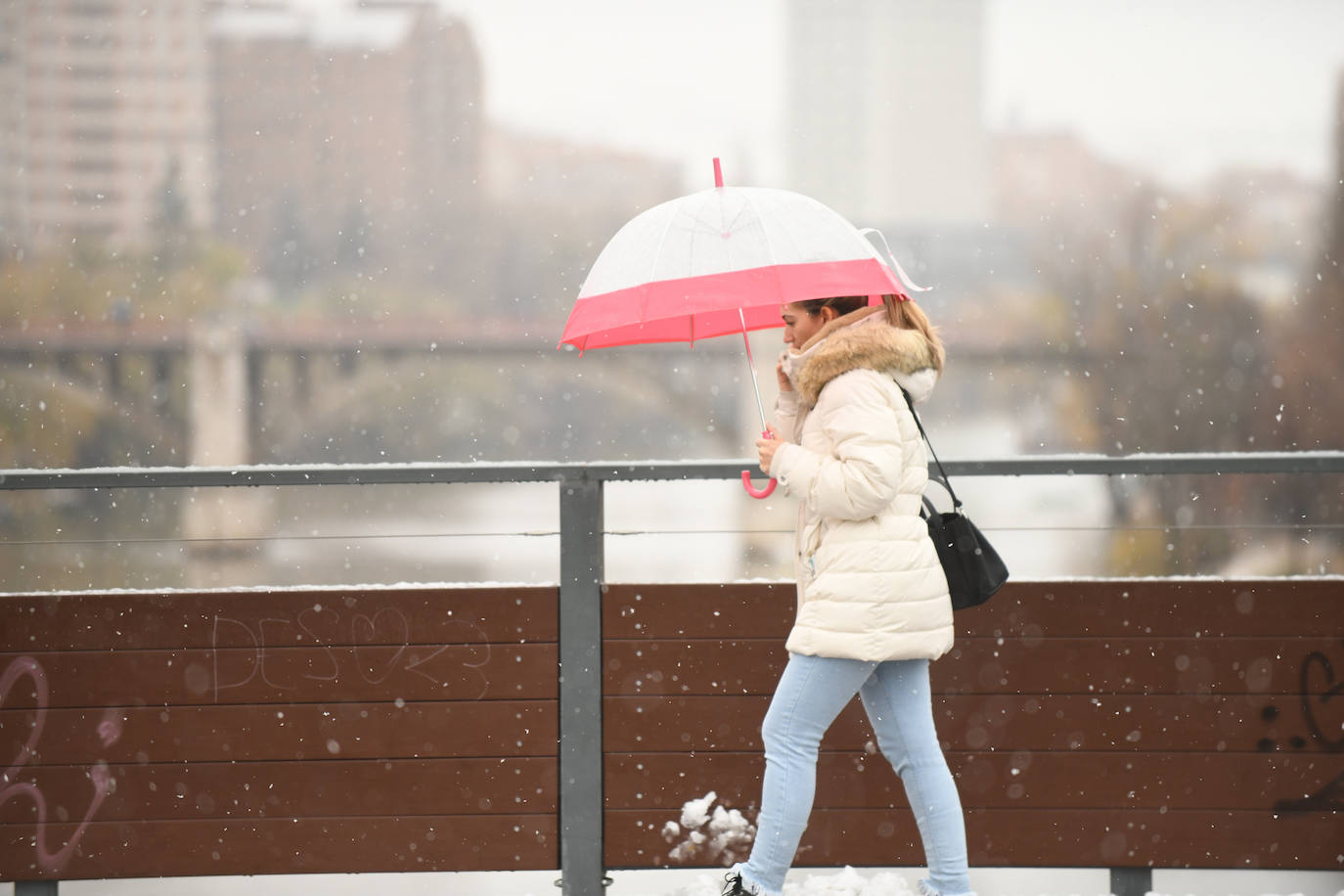 Fotos: Llega a Valladolid la primera nevada desde &#039;Filomena&#039; (2/2)