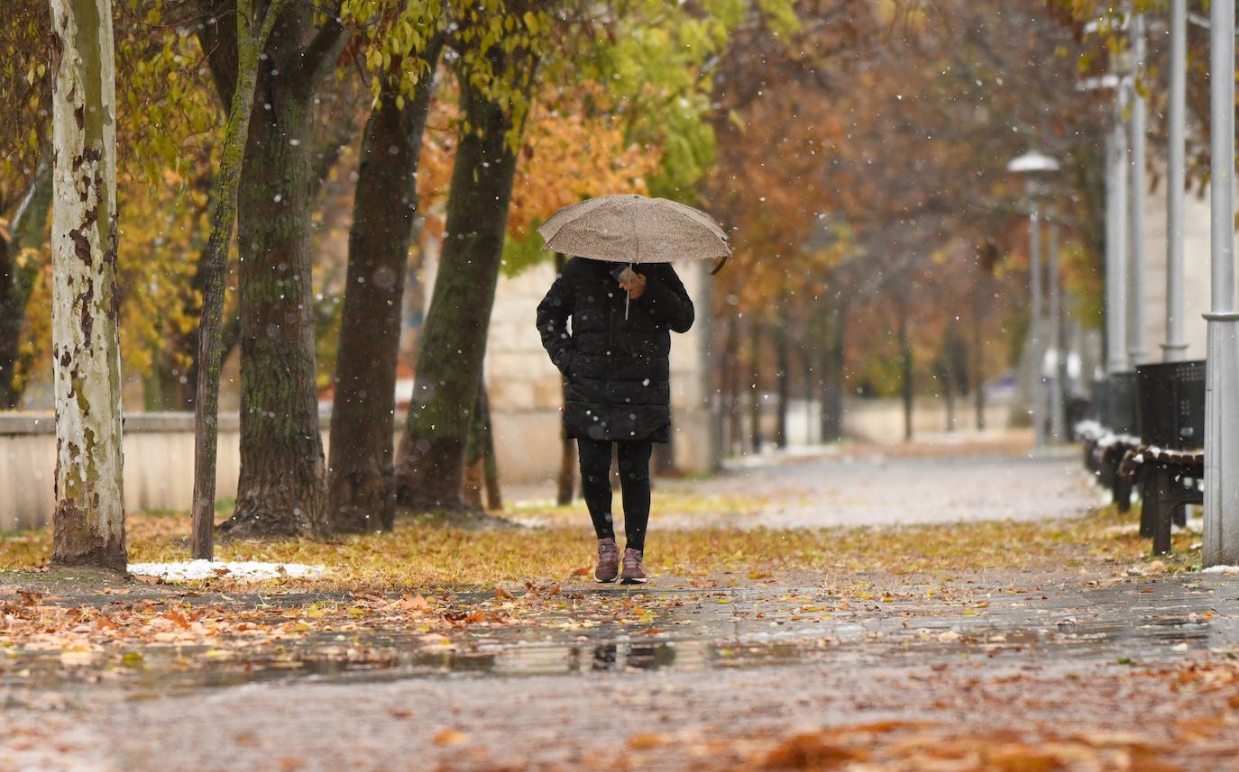 Fotos: Llega a Valladolid la primera nevada desde &#039;Filomena&#039; (2/2)