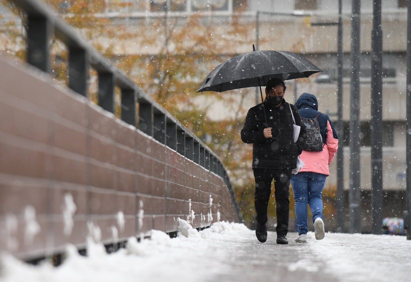 Fotos: Llega a Valladolid la primera nevada desde &#039;Filomena&#039; (2/2)