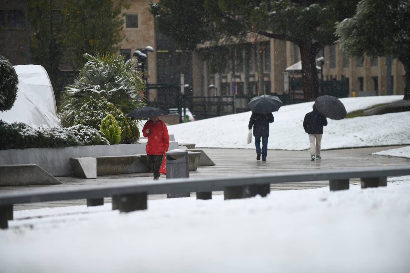 Fotos: Llega a Valladolid la primera nevada desde &#039;Filomena&#039; (2/2)