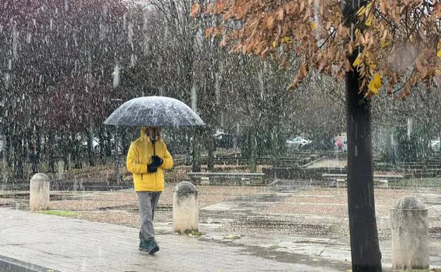 Nieve en Valladolid capital. 