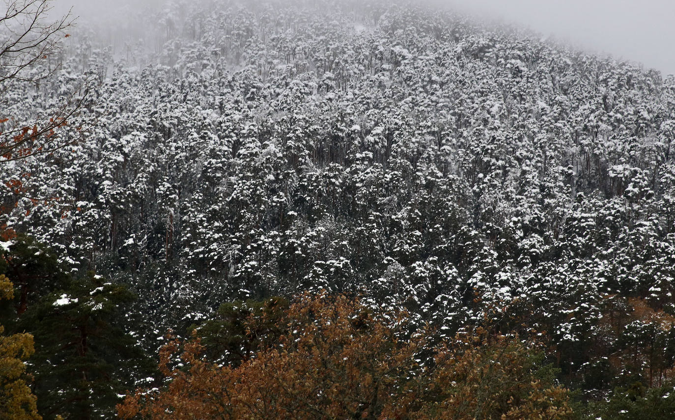 Frío y nieve en Segovia y su provincia 