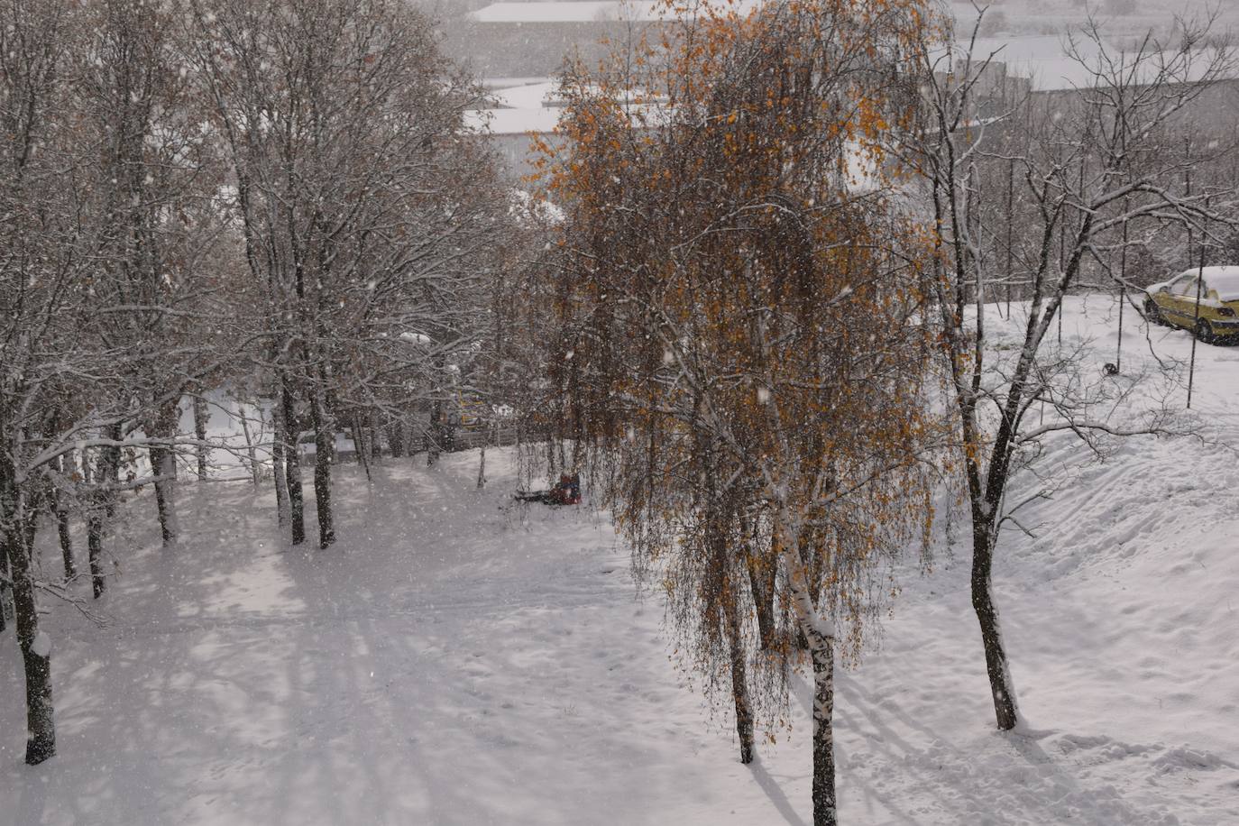 Fotos: Nevada en Guardo