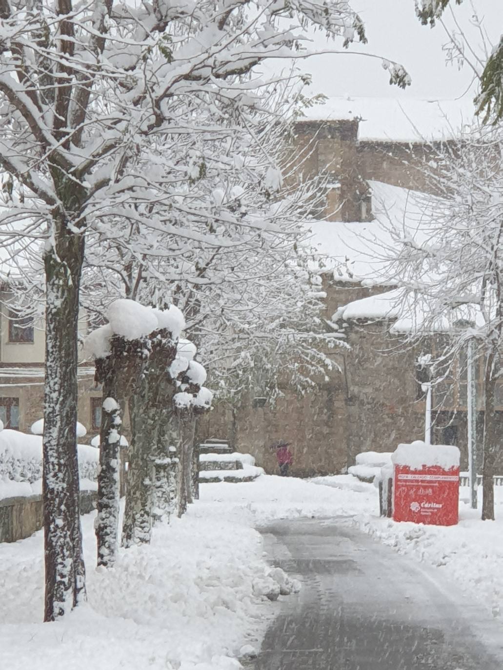 Fotos: Nieve acumulada en Aguilar de Campoo