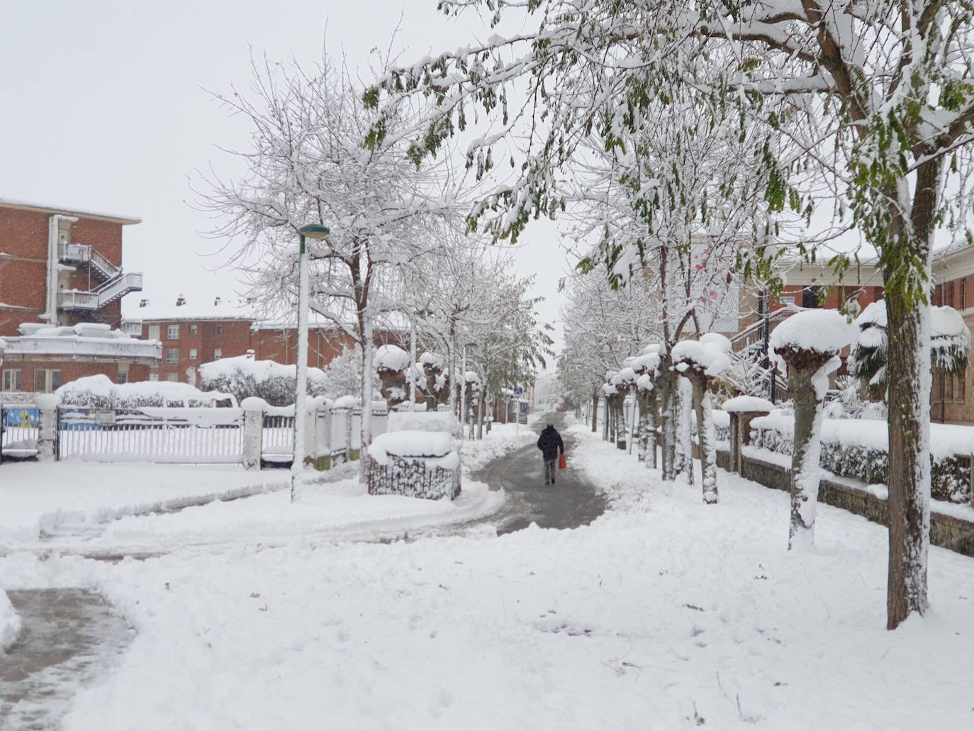 Fotos: Nieve acumulada en Aguilar de Campoo