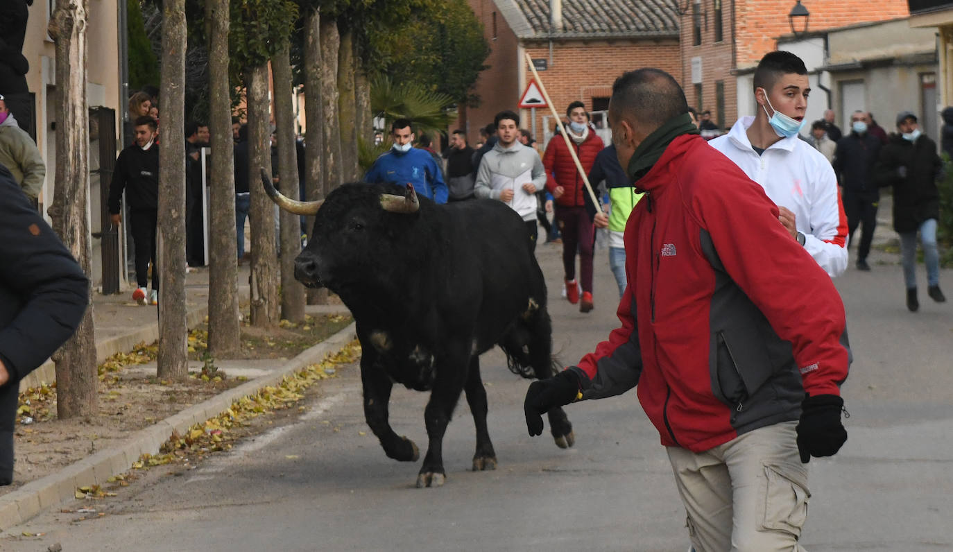 Fotos: Un toro causa el pánico en el encierro en Pollos